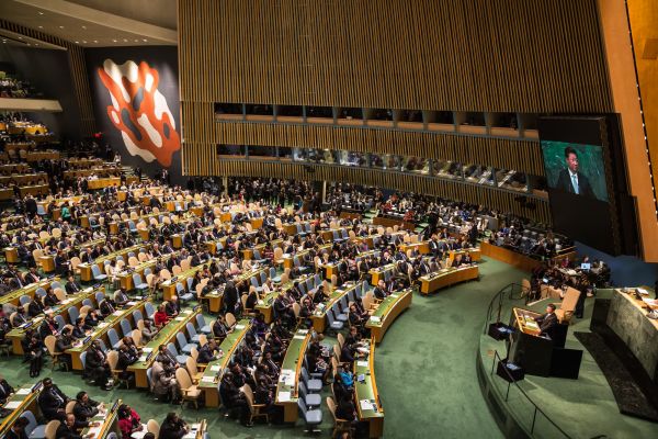 The UN General Assembly