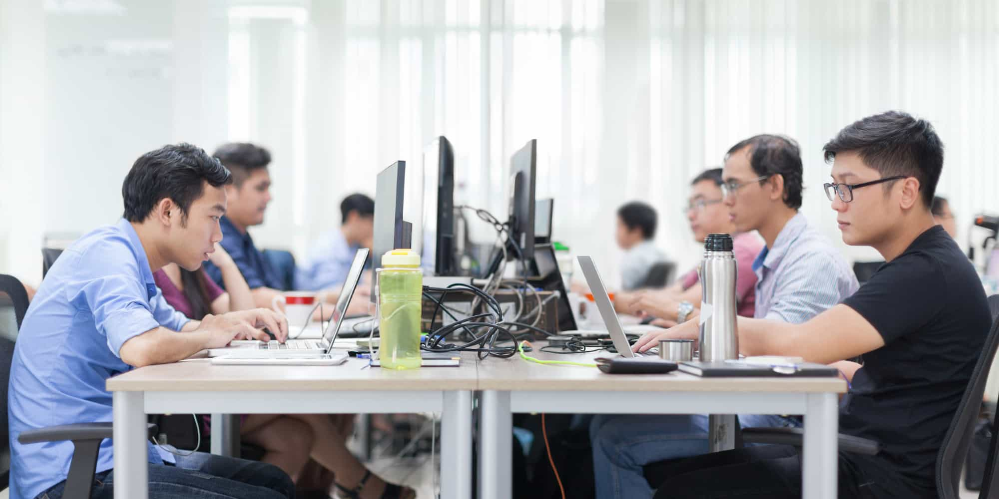 People working on their computers in an office