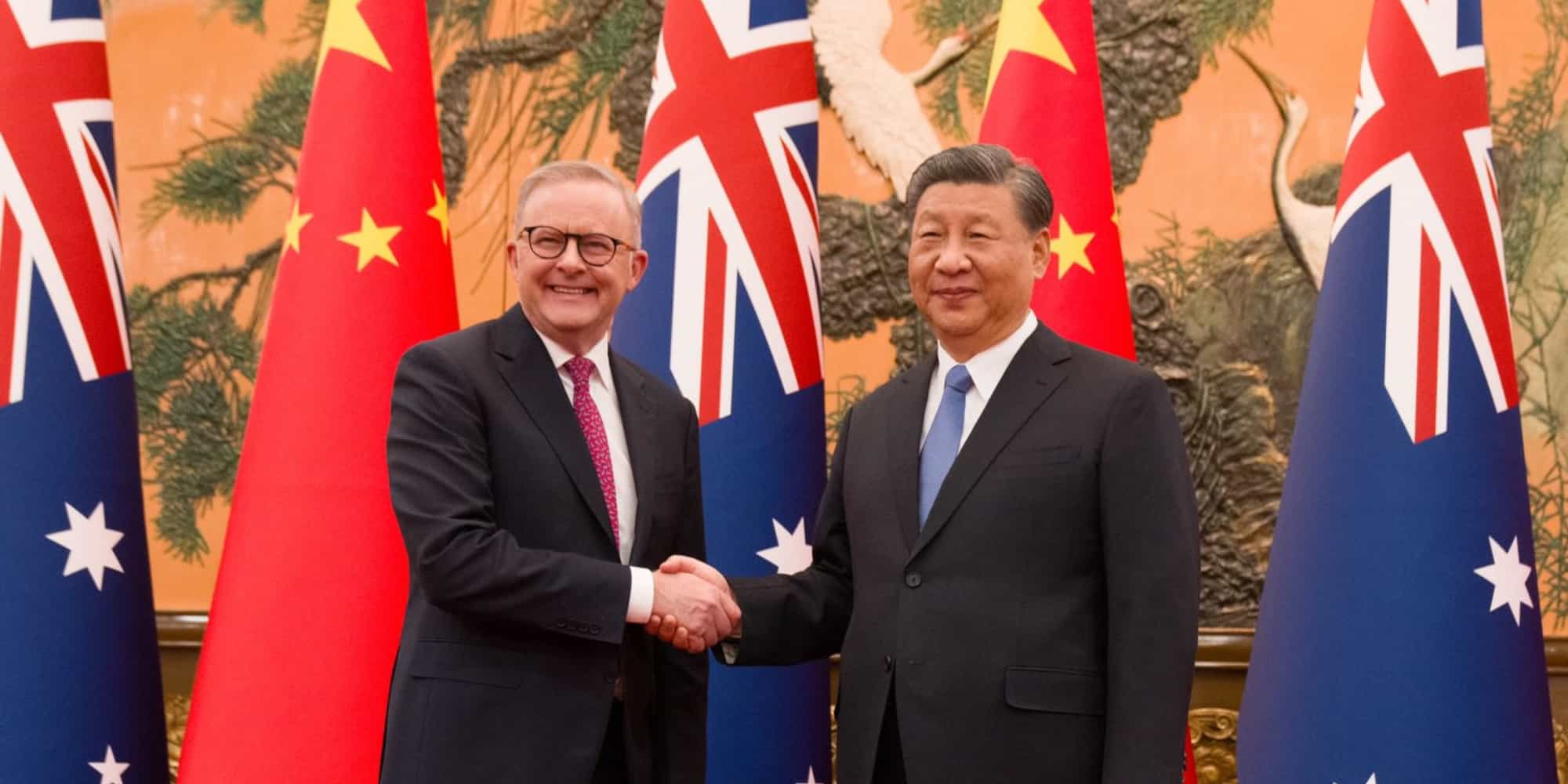 Albanese and Xi shake hands