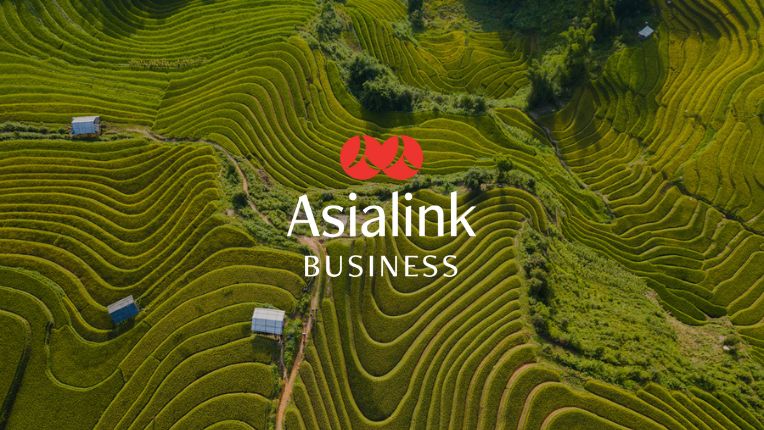 Aerial View of Rice Field