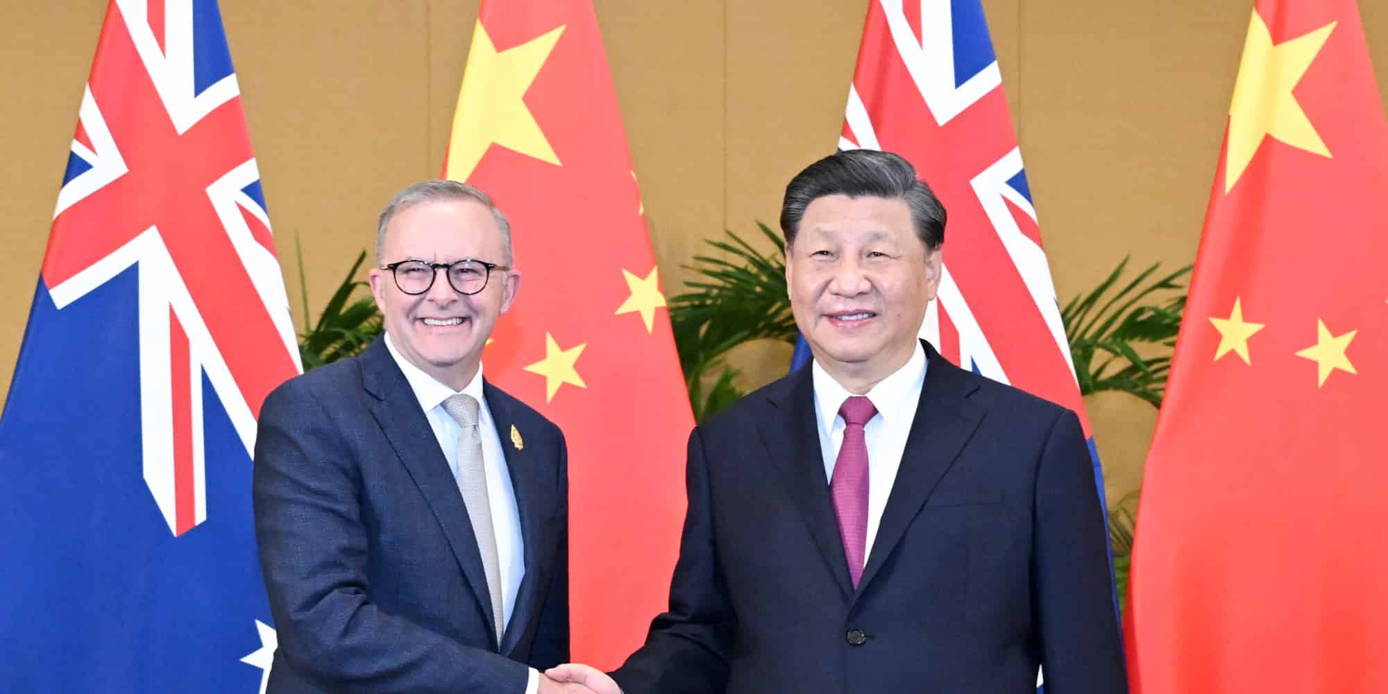 Albanese and Xi shake hands