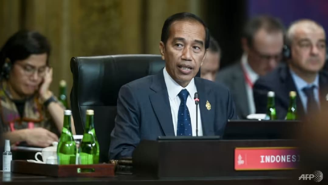 President Joko Widodo attends the G20 Summit in Bali, Indonesia