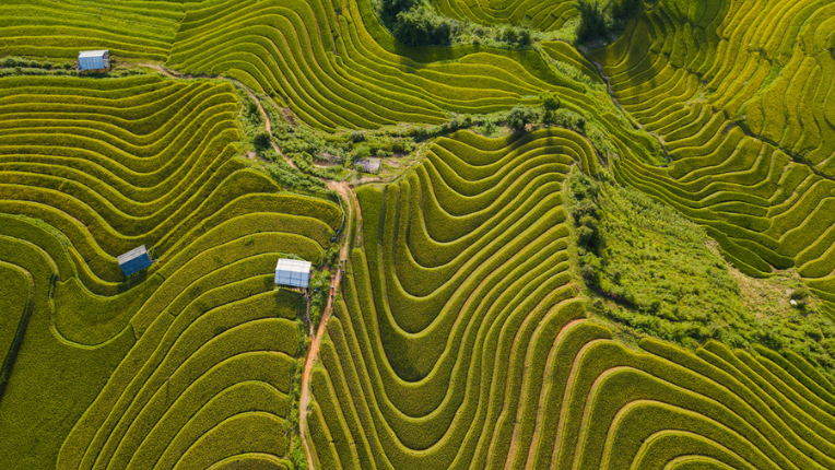 agricultural area viewed from above