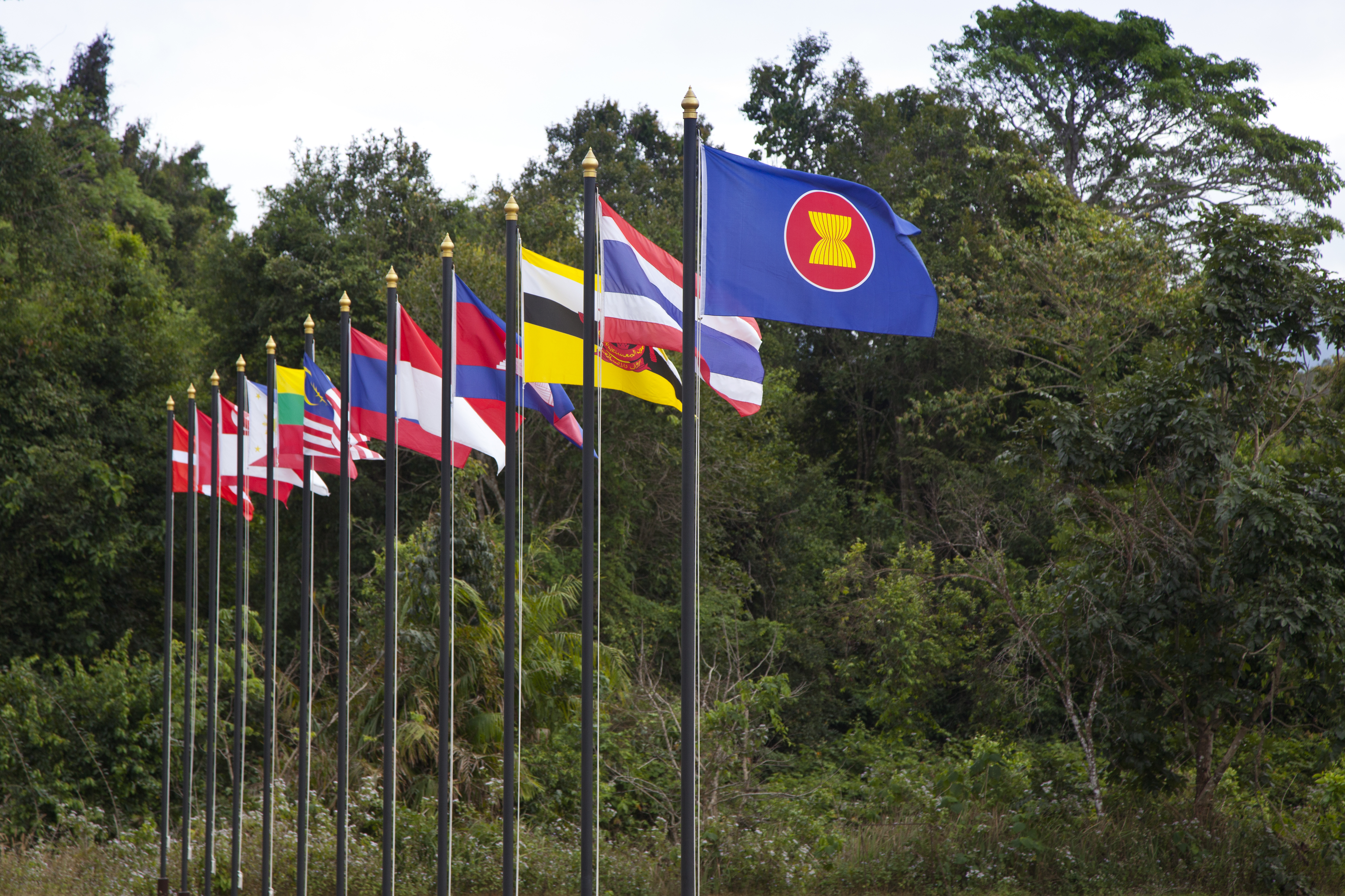 asean flags