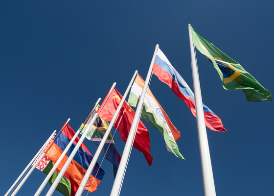 flags of the countries that make up brics