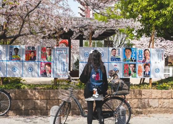 A japanese voter with her dog looking at political candidate poster stand at a park in a city