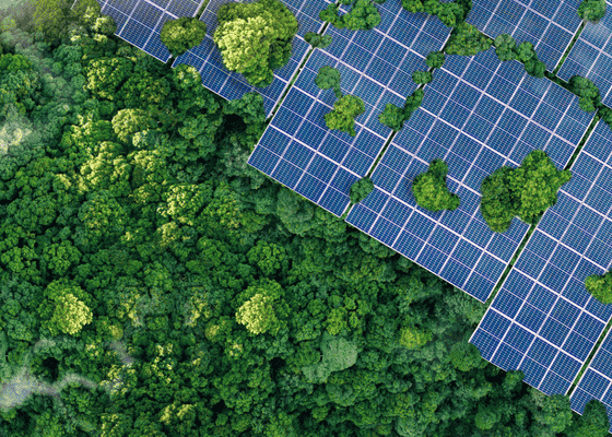 Solar panels in the middle of a field